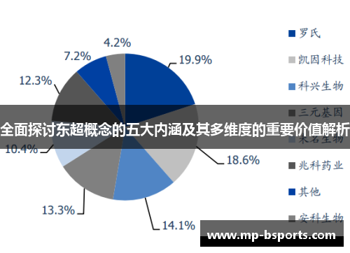 全面探讨东超概念的五大内涵及其多维度的重要价值解析 全面探讨东超概念的五大内涵及其多维度的重要价值解析