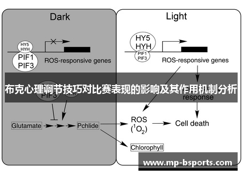 布克心理调节技巧对比赛表现的影响及其作用机制分析