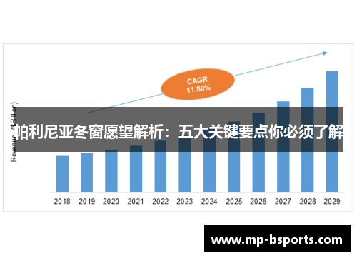 帕利尼亚冬窗愿望解析：五大关键要点你必须了解