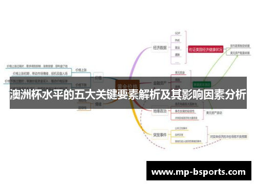 澳洲杯水平的五大关键要素解析及其影响因素分析 澳洲杯水平的五大关键要素解析及其影响因素分析