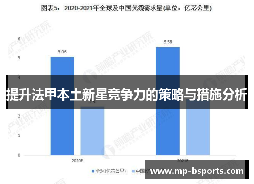 提升法甲本土新星竞争力的策略与措施分析